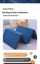 fold out mattress