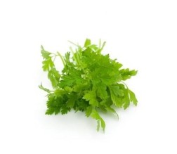 HERB CHERVIL (PER KG) - [PRODUCE]