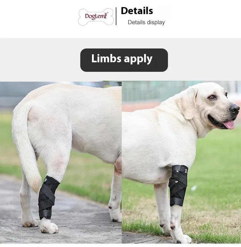 Pet Dog Auxiliary Strap Second Generation Upgrade
