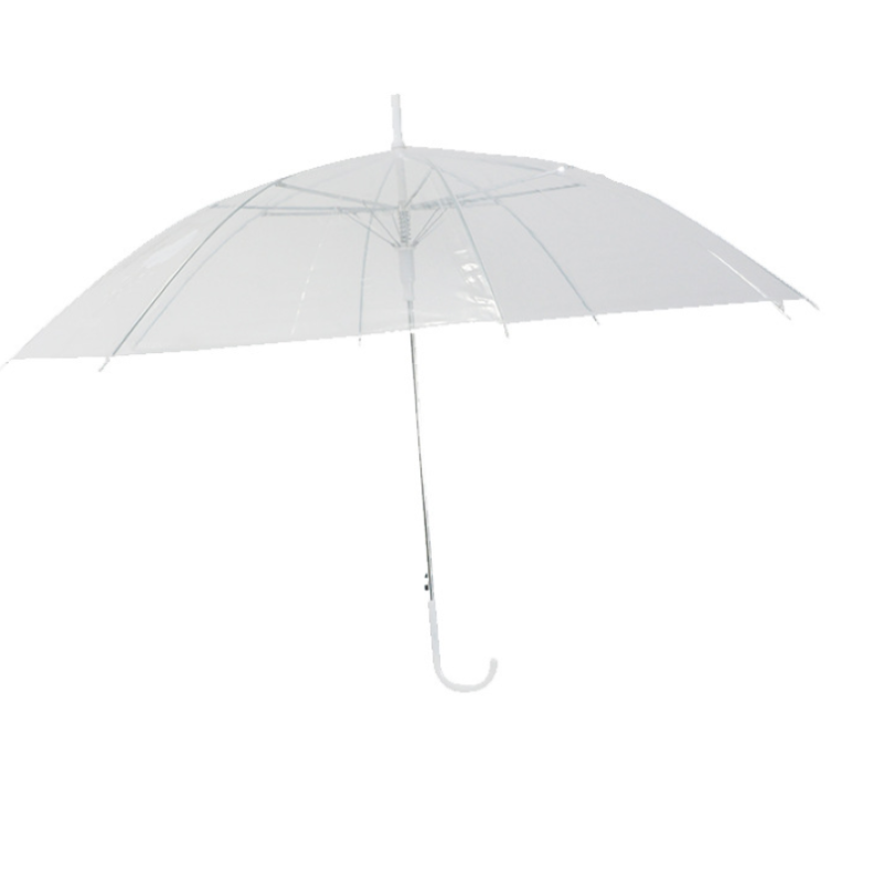 Clear blue dome umbrella