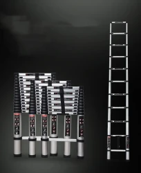 Ladder