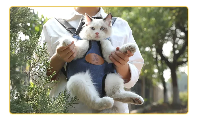 Portable cat backpack for spring outing