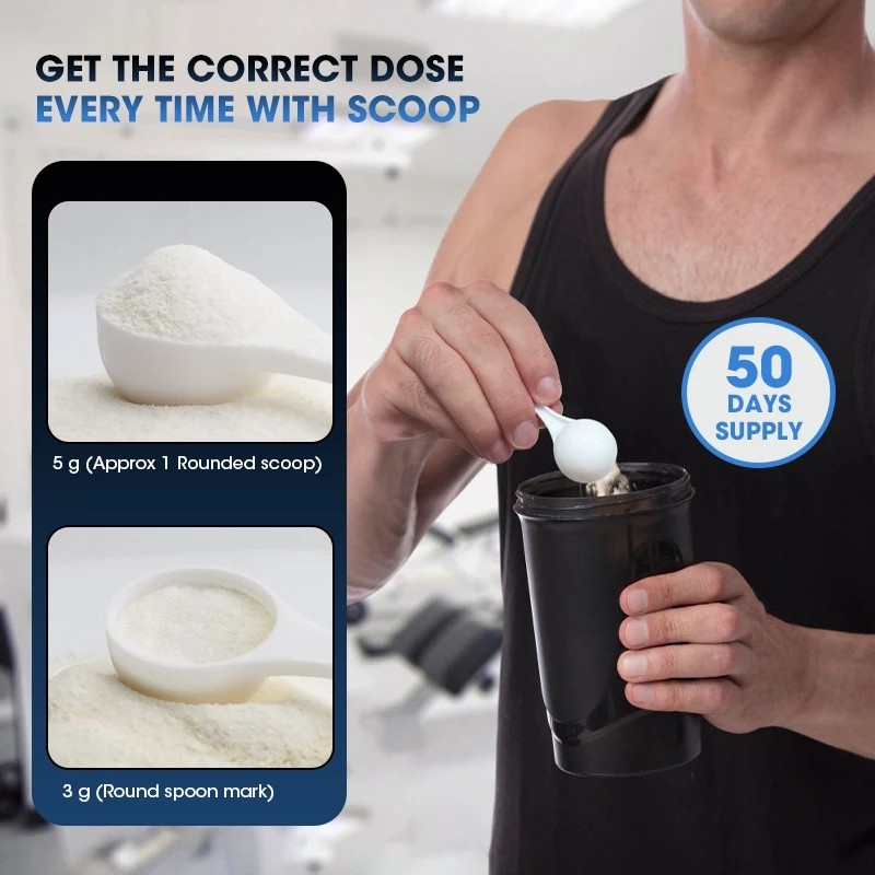 Kexinsh Creatine Monohydrate Powder – Post Workout Recovery Drink
