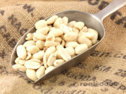 Peanuts Blanched Whole