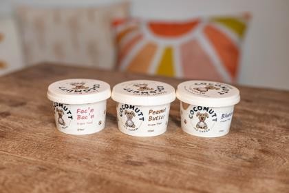 Ice Cream Blueberry For Dogs - Freezer