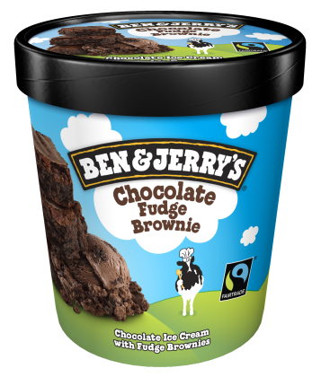 Ice Cream Chocolate Fudge Brownie