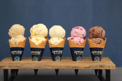 Ice Cream Chocolate Double Belgian