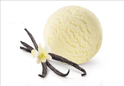 Ice Cream French Vanilla Plastic