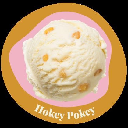 Ice Cream Hokey Pokey