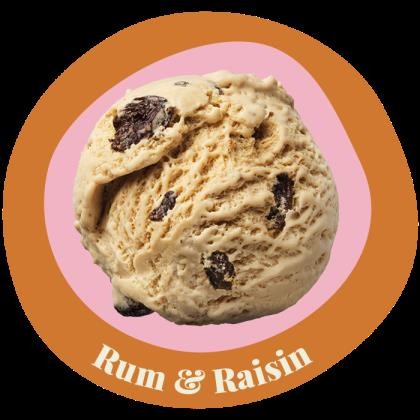 Ice Cream Rum & Raisin
