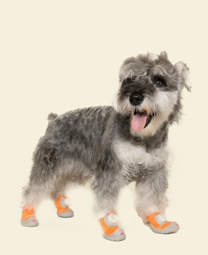 Dog Shoes — Breathable, Secure & Stylish Paw Protection for Summer Adventures!