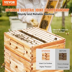 Bee Home