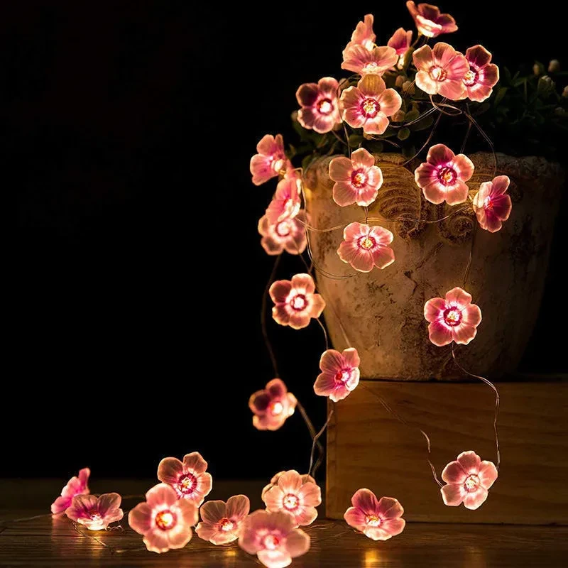 Warm Solar Fairy Lights