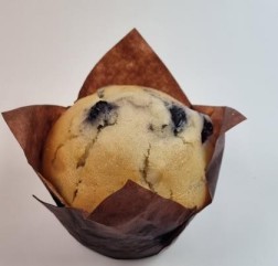 Muffin Blueberry