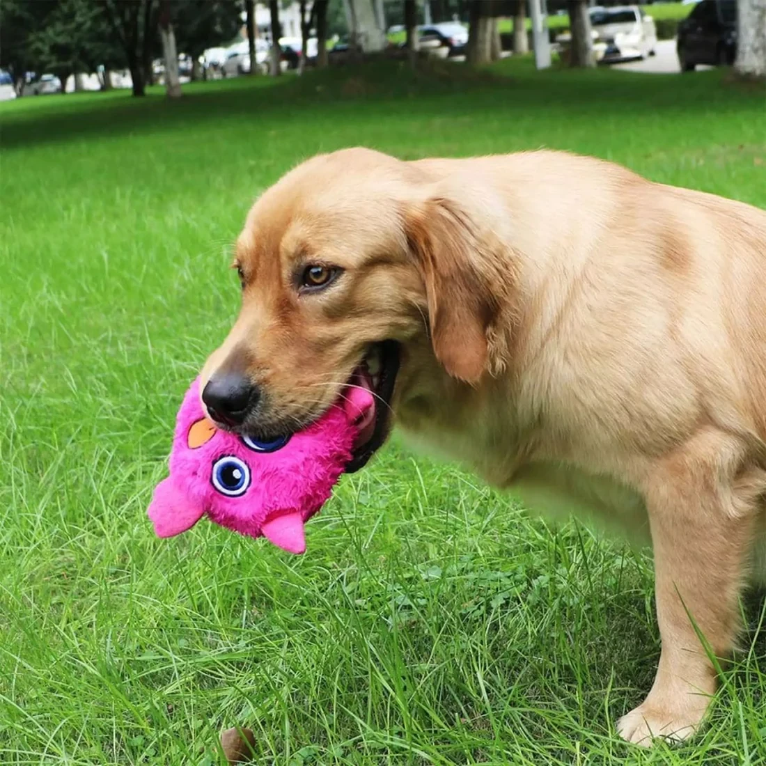 Juguete interactivo para perros
