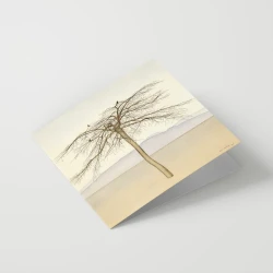 Rita Angus - Card - Tree