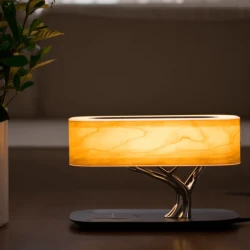 Lámpara de luz de vida