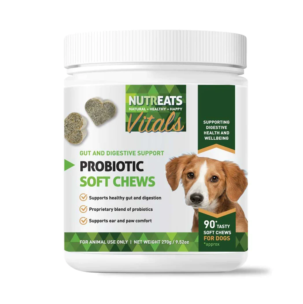 Masticables blandos probióticos para perros