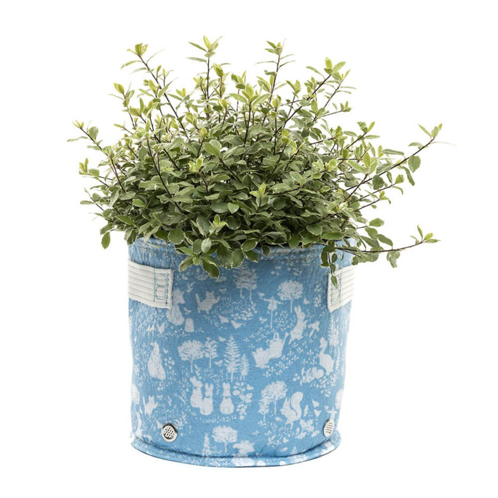 Tela Eco Pot: Beatrix Potter Azul Pequeño