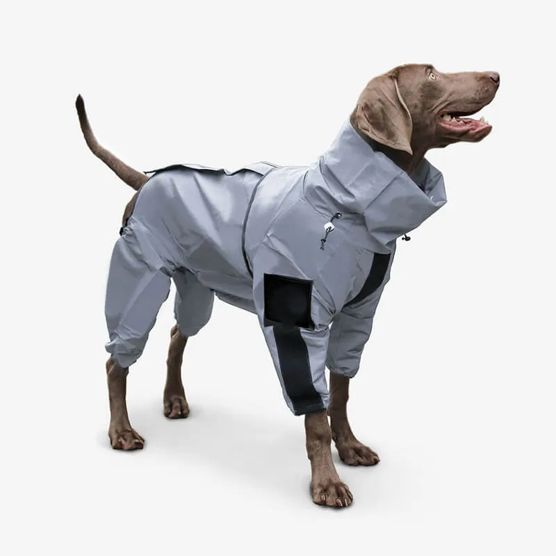 Abrigo impermeable reflectante para perros para todo tipo de clima