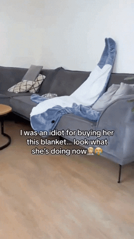 Sudadera con capucha Shark Nap (Envío gratis)