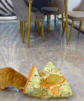Bolsa túnel para gatos