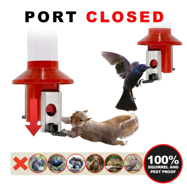 Comedero para pájaros Roamwild PestOff a prueba de ardillas