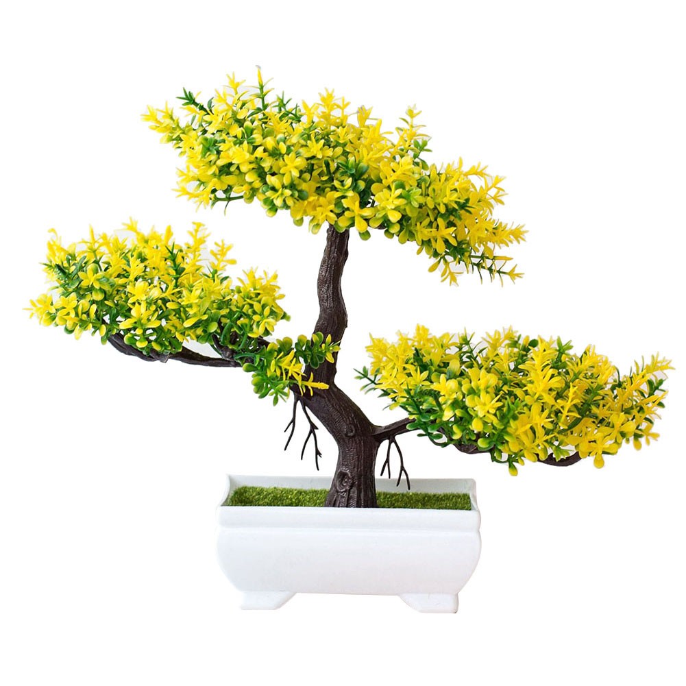 Árbol bonsái para sala de estar, oficina en casa