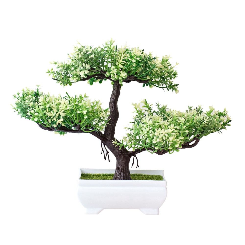 Árbol bonsái para sala de estar, oficina en casa