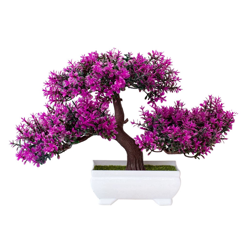 Árbol bonsái para sala de estar, oficina en casa