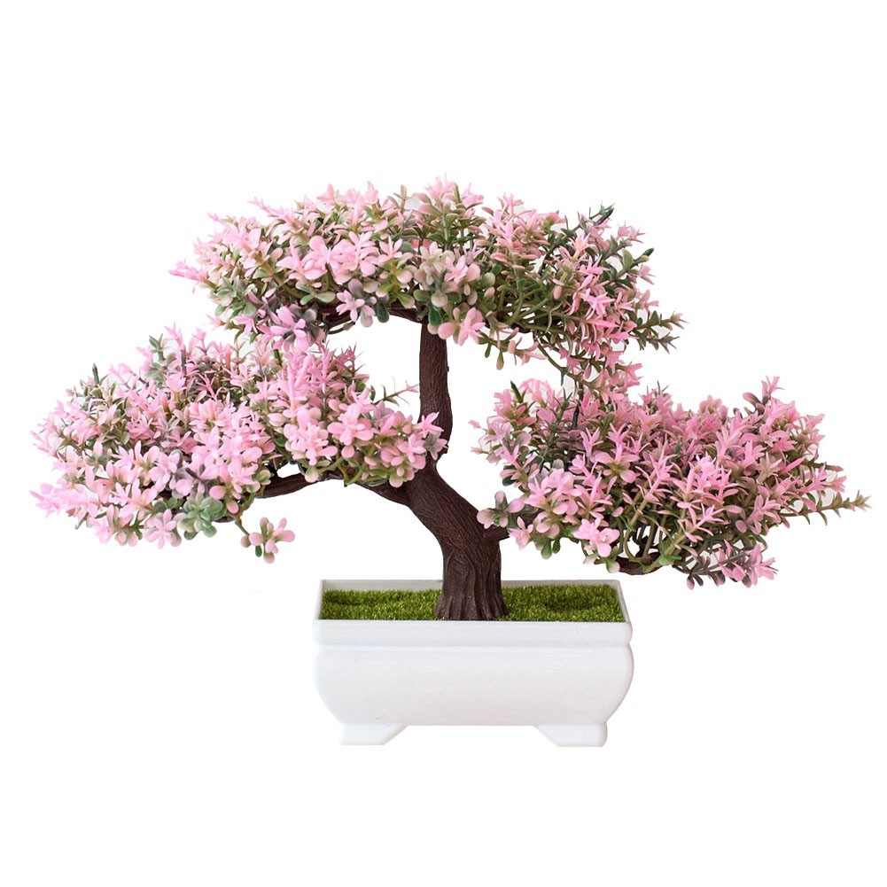 Árbol bonsái para sala de estar, oficina en casa
