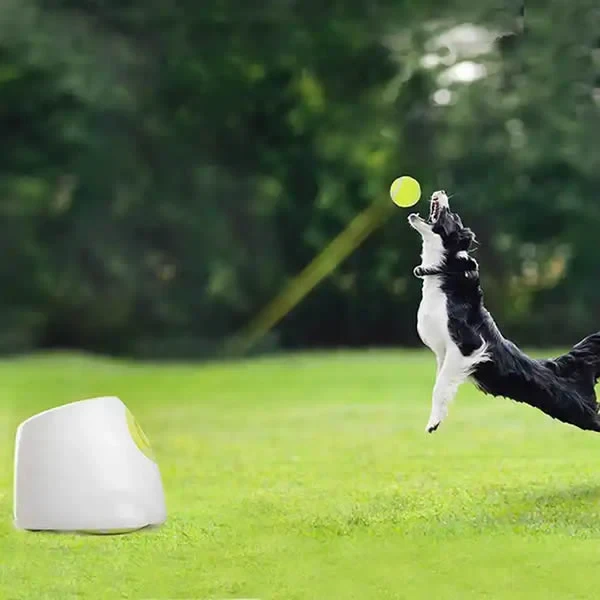 Lanzador automático de pelotas para perros