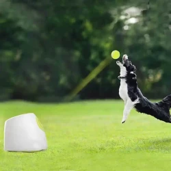 Lanzador automático de pelotas para perros