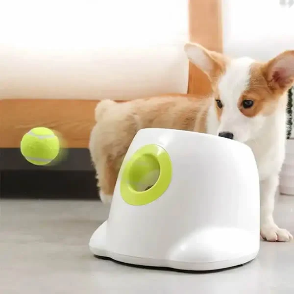 Lanzador automático de pelotas para perros