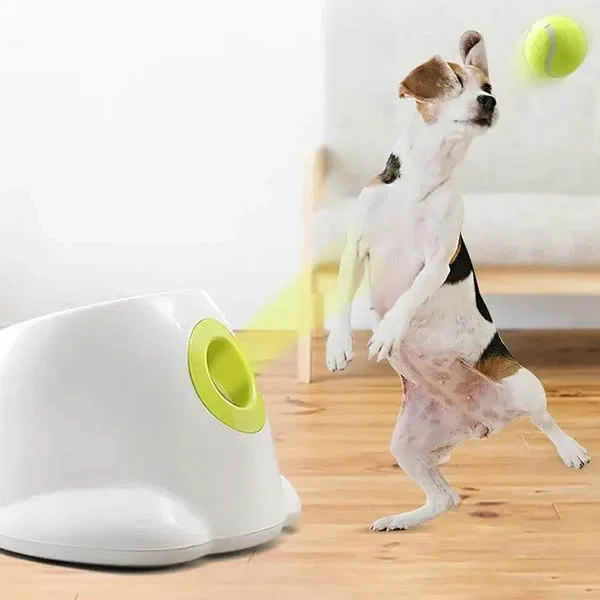 Lanzador automático de pelotas para perros
