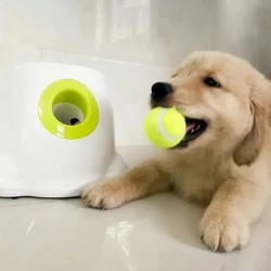 Lanzador automático de pelotas para perros