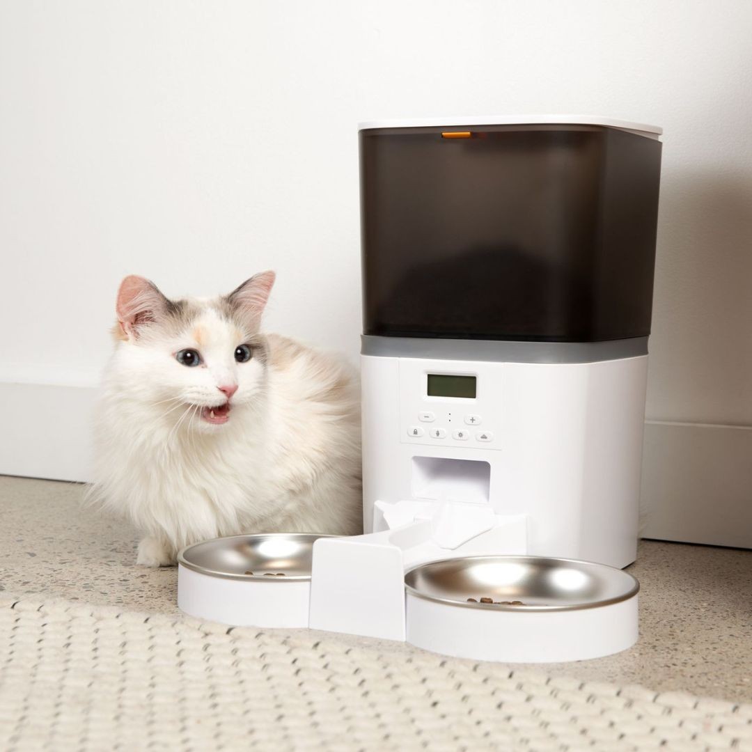 El comedero automático para gatos KittyFeeder