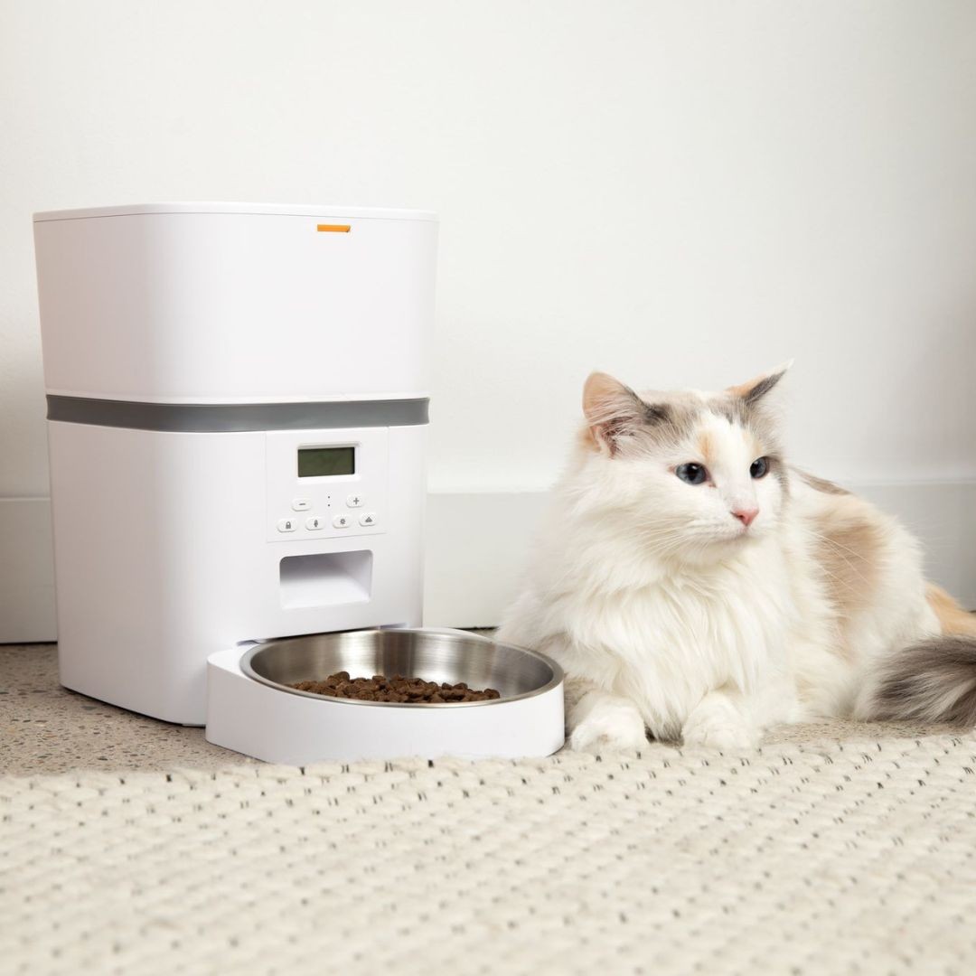 El comedero automático para gatos KittyFeeder