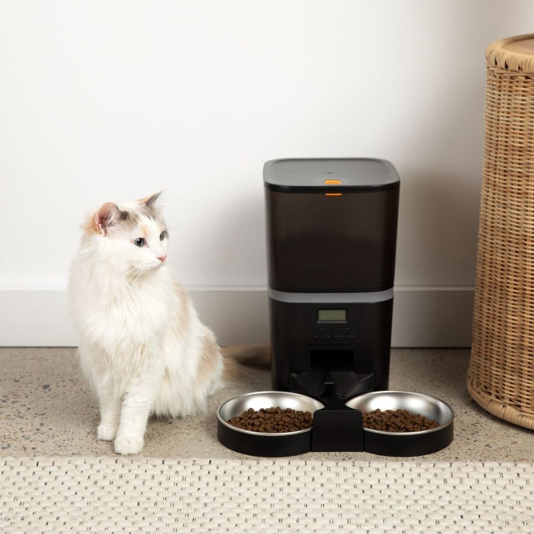 El comedero automático para gatos KittyFeeder