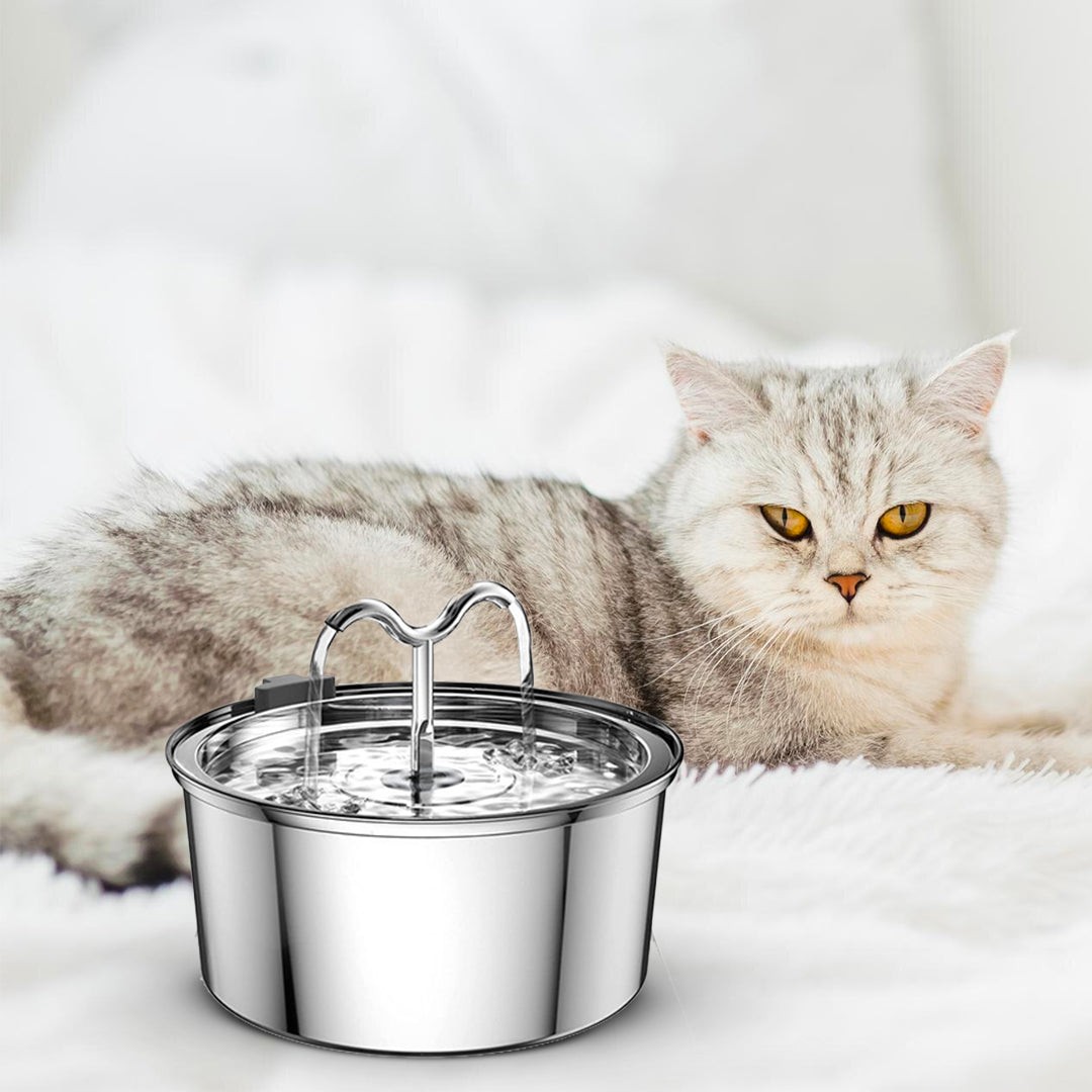 La fuente KittySpout TwinFlow