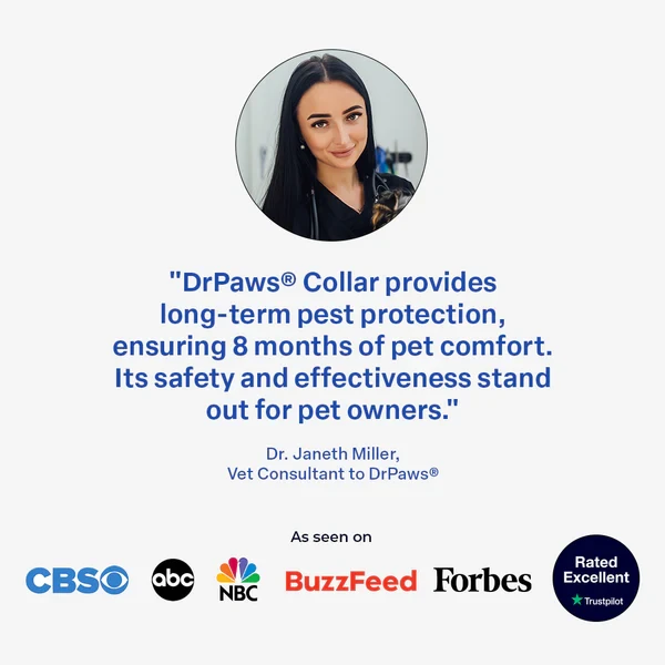 Collar DrPaws antipulgas y garrapatas para perros de 8 meses