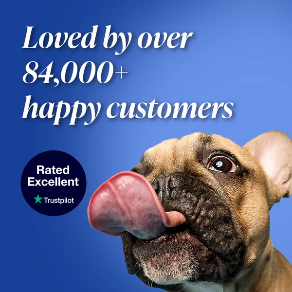 Collar DrPaws antipulgas y garrapatas para perros de 8 meses