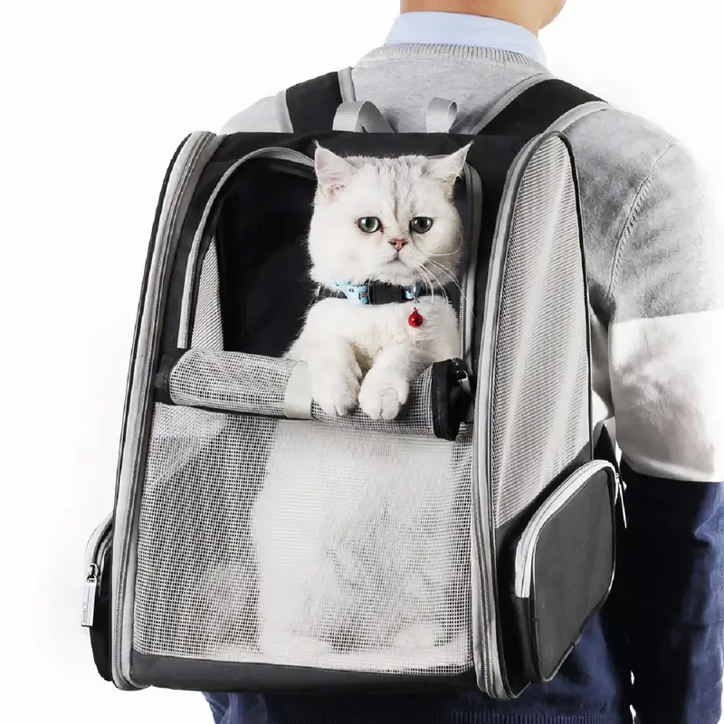 Mochila de viaje para mascotas: Transportín para gatos y perros