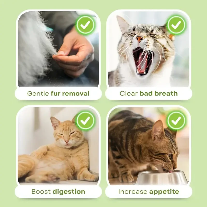 Palitos de dentición de hierba para gatos para controlar las bolas de pelo - Premio natural para el cuidado dental de gatos con sabor a pollo