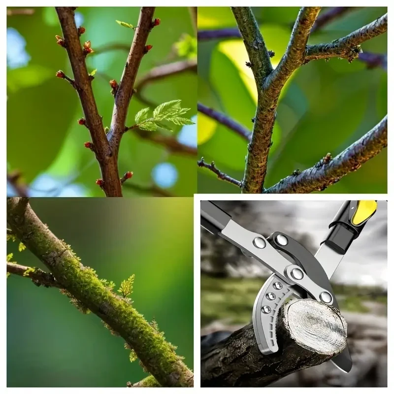 Tijeras de podar de mango largo: tijeras de podar para ramas gruesas, tijeras manuales para flores y árboles.
