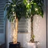 Luces de luciérnagas (3 m/120 pulgadas)