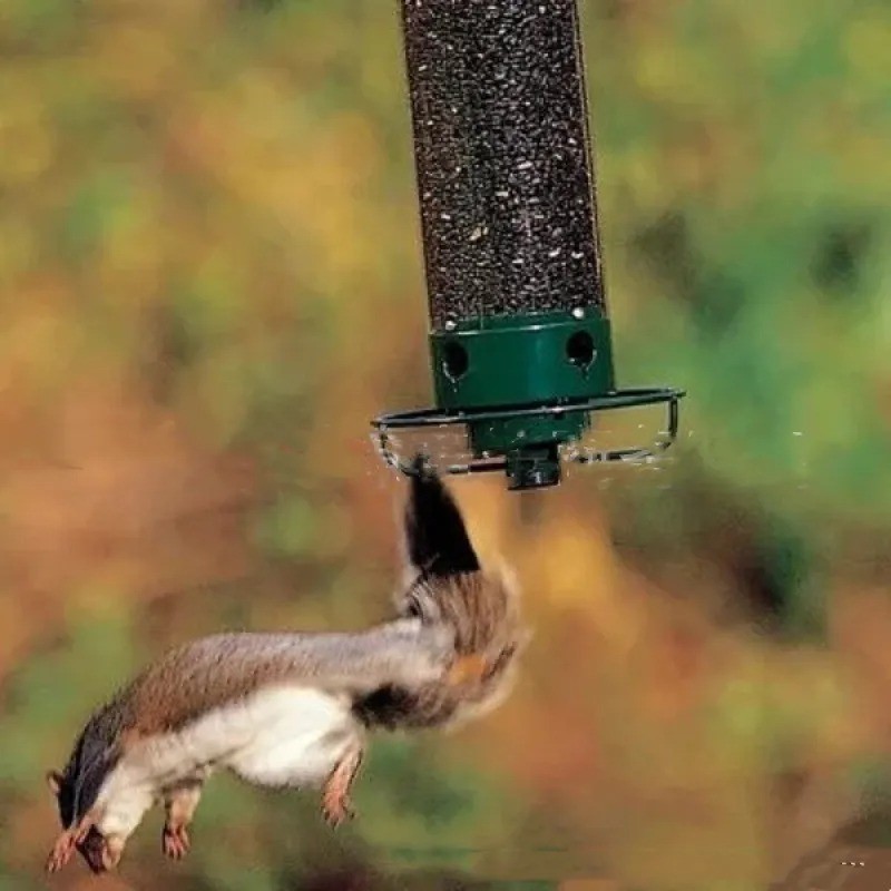 Comedero de agua colgante para colibríes para patio al aire libre