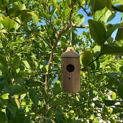 Casa de madera para colibríes: un regalo para los amantes de la naturaleza