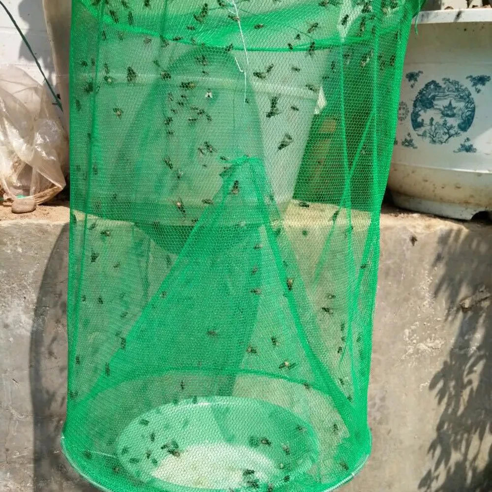 Fruit Fly Trap