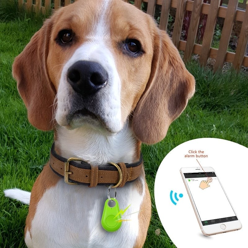 Rastreador inalámbrico para mascotas con Bluetooth y GPS